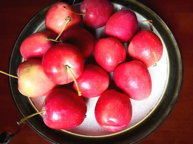 海棠果报到这个还有别名吗