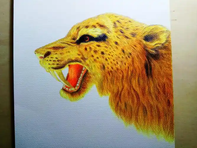 自学彩铅手绘一剑齿虎