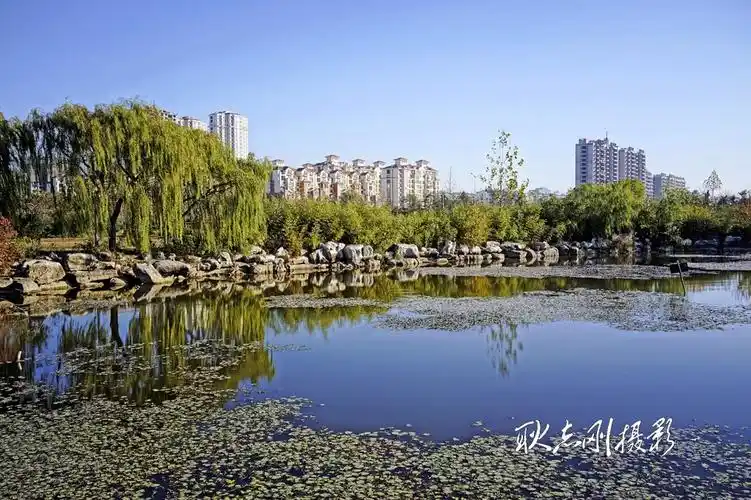 临沂市河东区沂河二滩公园建设纪实