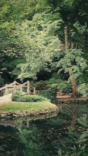 小清新风景高清手机壁纸