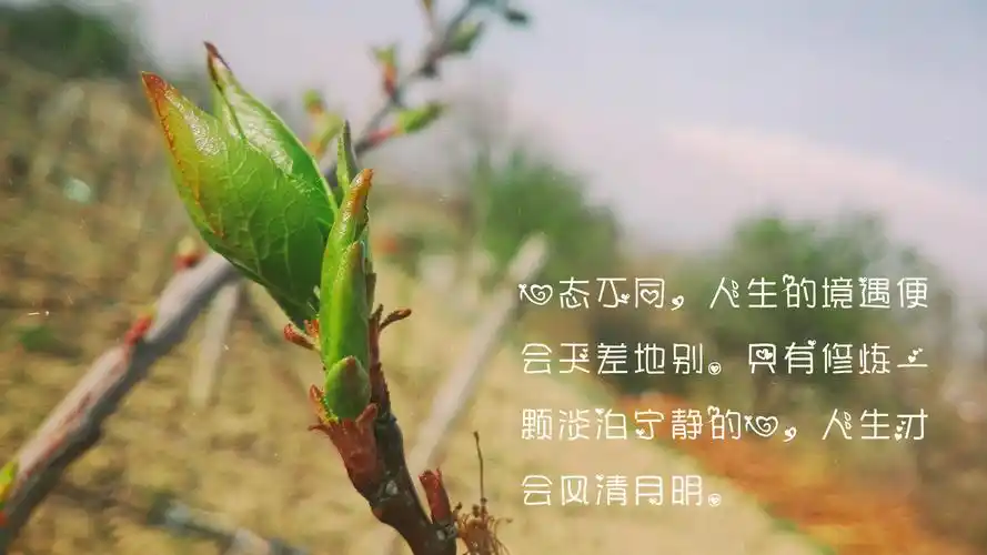关于美好人生的心情说说治愈句子图片