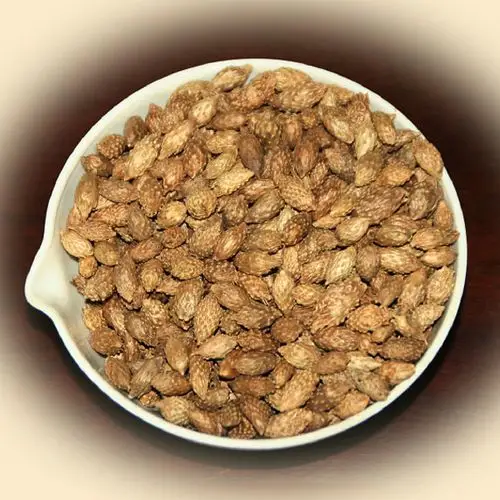 炒苍耳子统货内蒙古