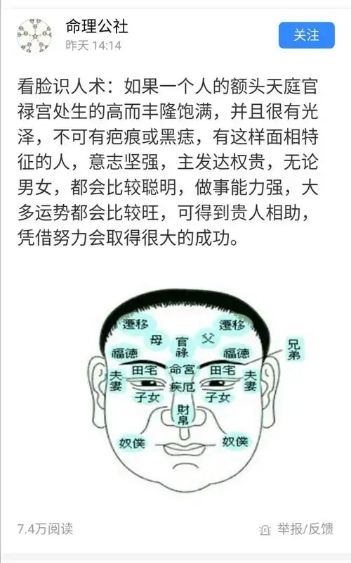 人间友爱的美篇