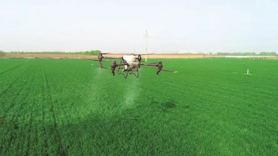 河北:农田"三变"助力农业增效农民增收|河北省_新浪财经_新浪网