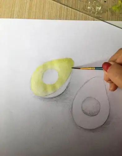 手绘写实作品之牛油果