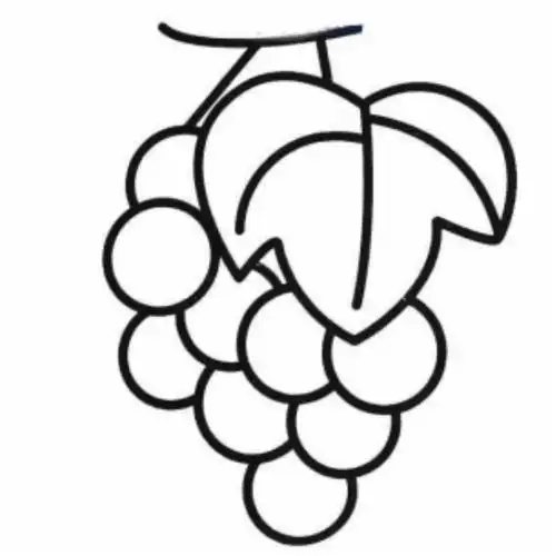 涂度美术简笔画