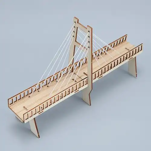 高中生通用技术作品山东省斜拉桥科技作品自制材料发明创造小制作