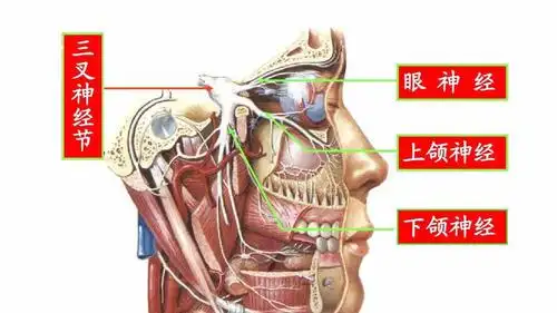 北京彭胜医院:探析三叉神经痛发病原因