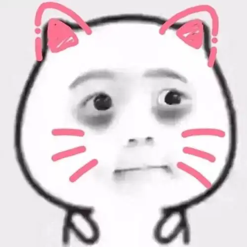 猫咪gif呆萌gif黑眼圈gif粉色手绘gif