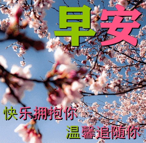 12月1日最漂亮早上好动态表情图片大全,早晨好动图美图大全