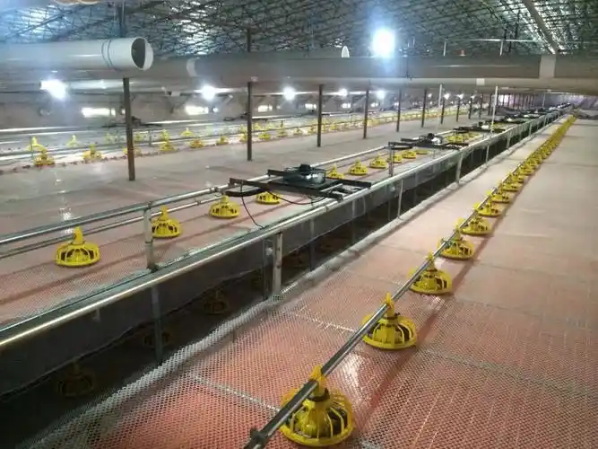 养鸡场自动喂料机养殖设备水线料线肉鸡现代化料线自动化喂料设备