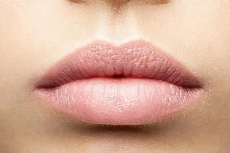 性感嘴唇图片-性感的红色唇膏嘴唇素材-高清图片-摄影照片-寻图免费