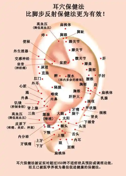 耳部按摩有新的解决办法了se耳珠