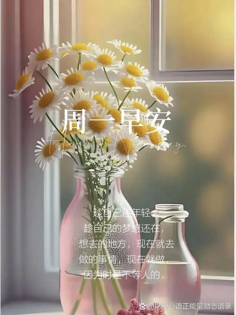 96早安96美好的一天开始了96正能量励志图片96  9677