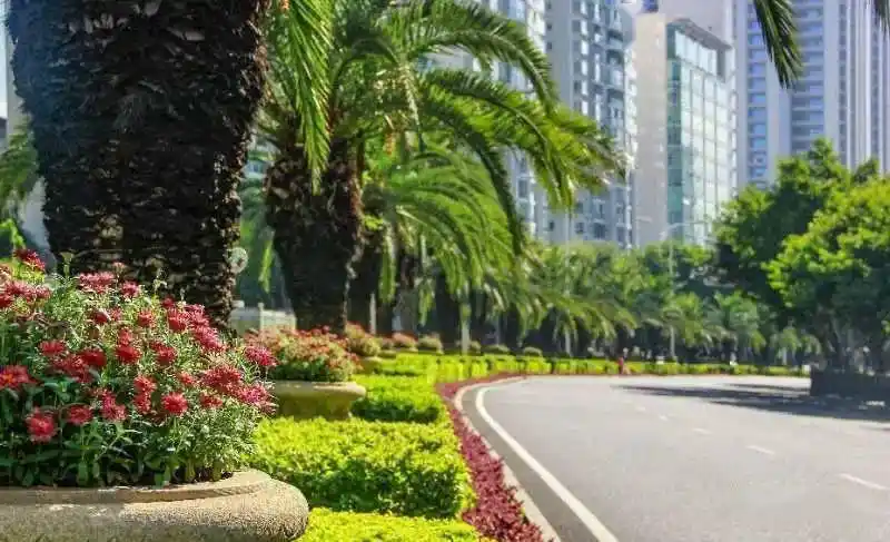 行业动态 | 厦门城市道路绿地养护专项考评报告(2020年6月)_绿化