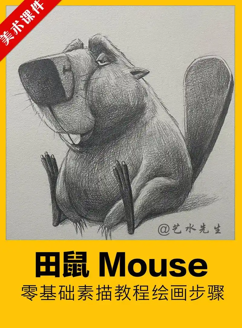 画一只小田鼠 可爱卡通动物素描.画一只小田鼠 可爱卡通动物素 - 抖音