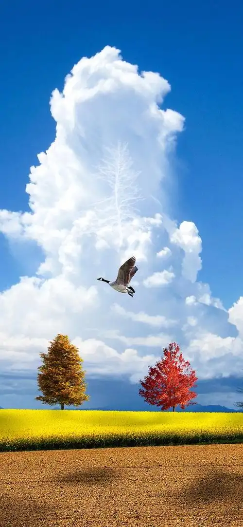 风景依旧 美好生活在延续 一组高清风景壁纸