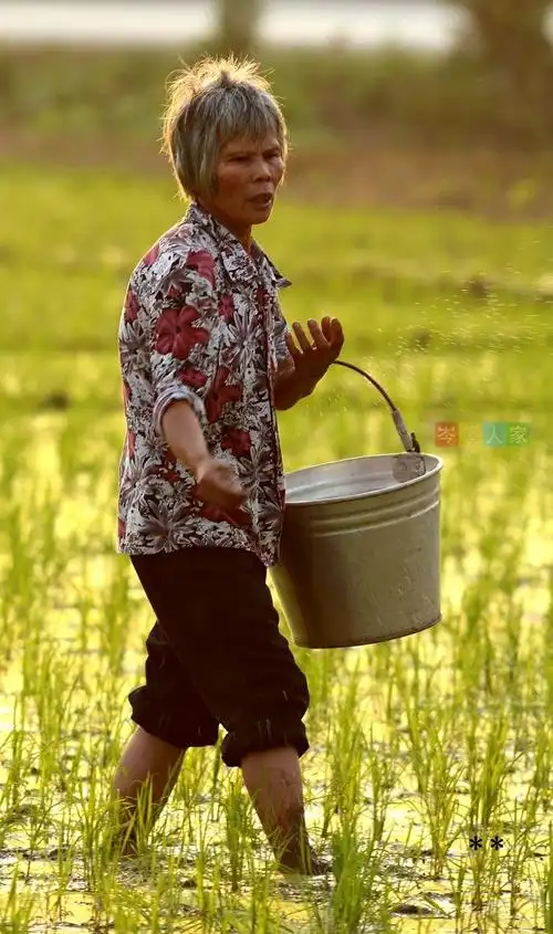 劳动人民节日快乐!