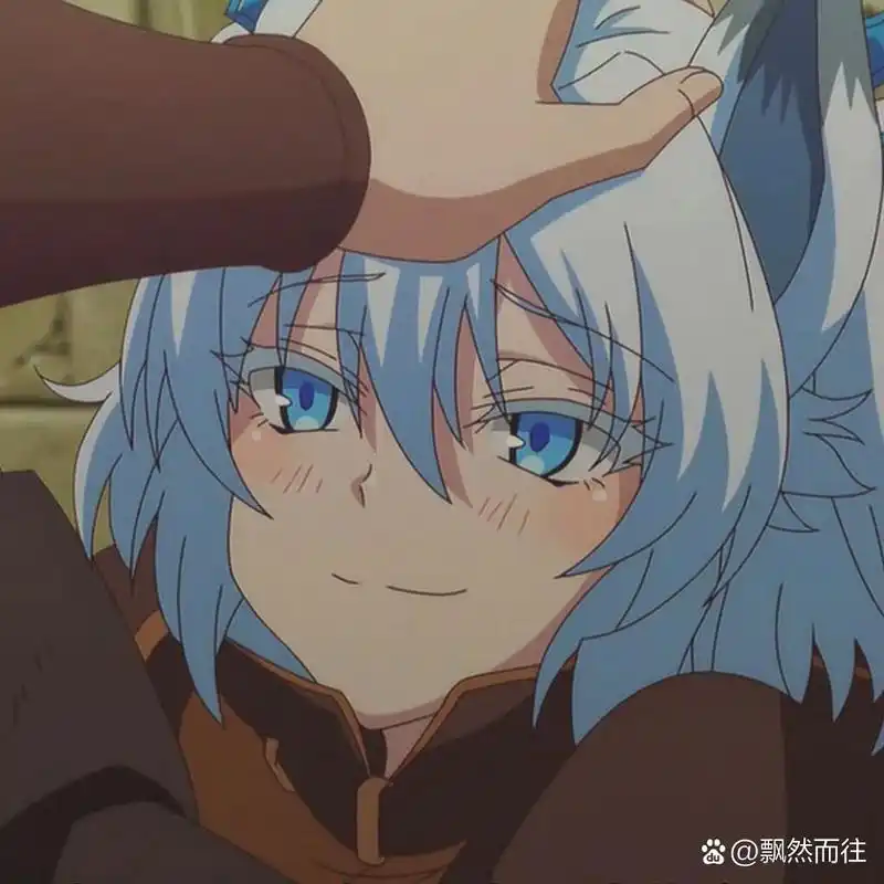 回复术士 刹那 自截