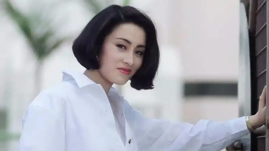 她将小姑娘介绍给向华强和向华胜,小姑娘听到当明星很开心,就跟着陈岚