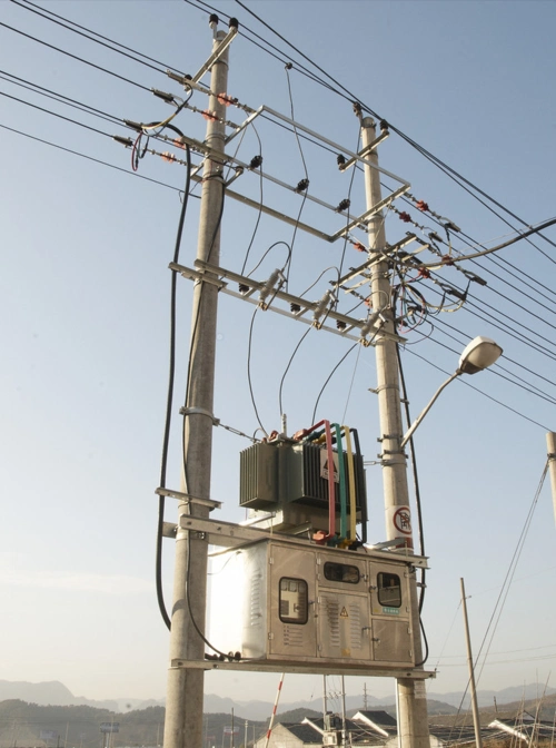 新栽的电线杆,工人在其底部挖坑撒食盐,电线杆吃盐?