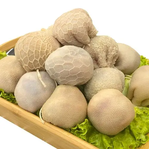 内蒙锡盟手工肚包肉【2斤8个】新鲜羔羊肉肠恩克同款草原肠包羊肉