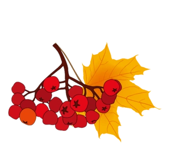 秋天树叶图片-秋天树叶设计素材-秋天树叶素材免费下载-万素网