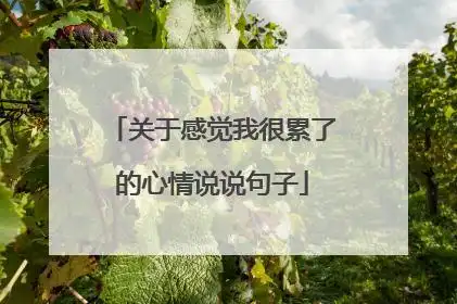 关于感觉我很累了的心情说说句子