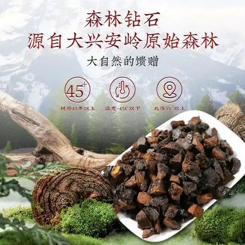 野生桦树茸白桦茸长白山桦褐孔菌黑金颗粒非俄罗斯进口包邮-阿里巴巴