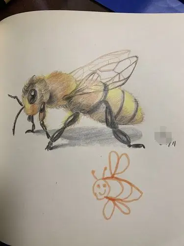 彩铅习作-蜜蜂|插画|创作习作|maydad - 原创作品 - 站酷 (zcool)