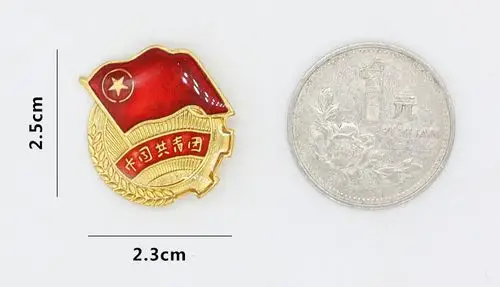 中国共青团团徽团员胸章胸徽团章安别针全款金属小徽章10枚装批发