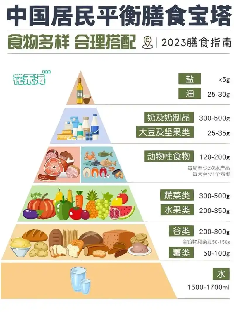 中国居民膳食指南电子书下载 - 抖音