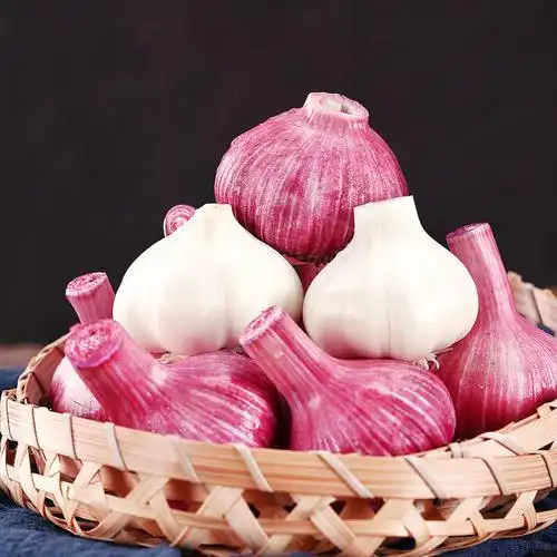 2022年紫皮大蒜新鲜5斤现挖湿蒜鲜蒜新大蒜头大蒜
