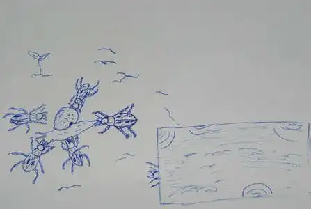 金步甲卡通简笔画的步骤