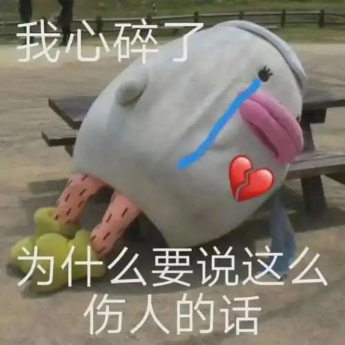 我心碎了为什么要说这么伤人的话
