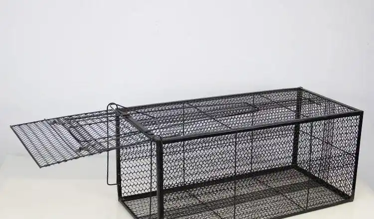 捕猫笼子黄鼠狼捕捉器大号多功能全自动宠物猫捉笼捕鼠大型寻猫神器长