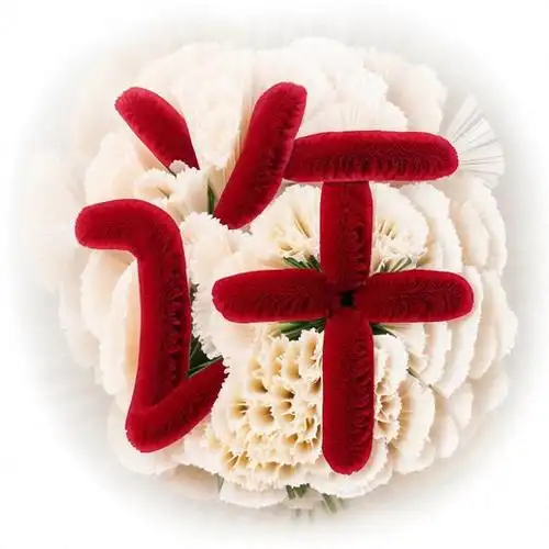 红叶版和康乃馨版姓氏头像分享,喜欢就收藏吧