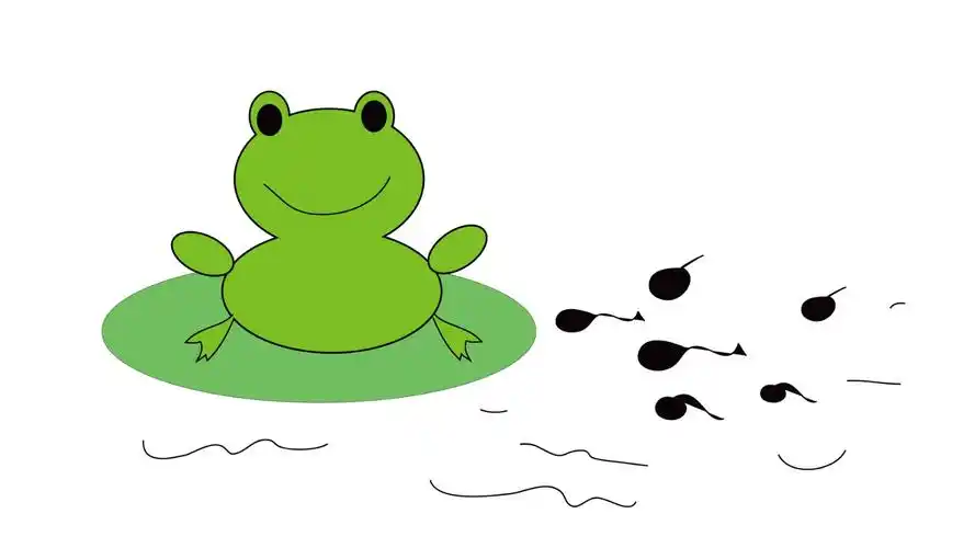 怎么画小蝌蚪找妈妈简笔画