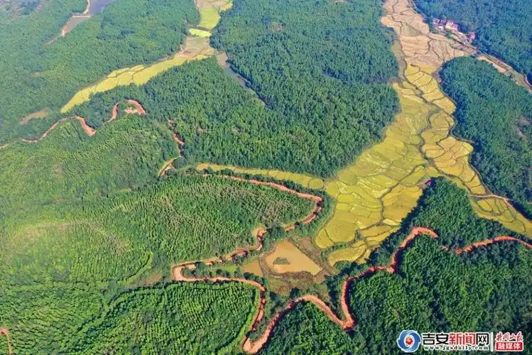 泰和:丘陵如画_吉安新闻网