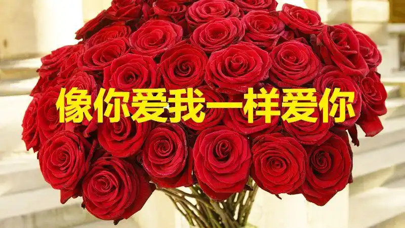 亲爱的,我会《像你爱我一样爱你 》一生一世,永远爱你!
