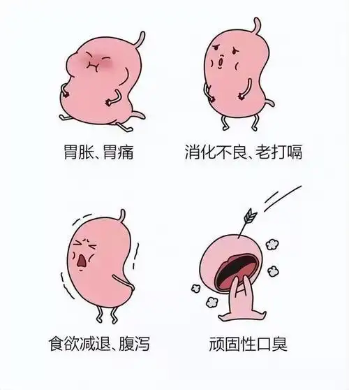 幽门螺杆菌全面解析:不看等于错过了守护胃健康的秘密!