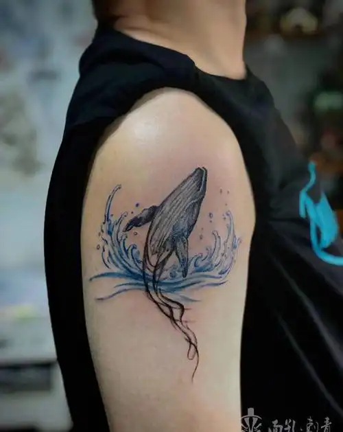 font color=red>鲸鱼 /font>纹身图片_手臂水彩纹身图案