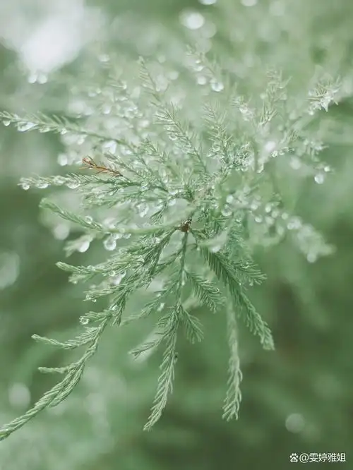 清零过去,重获新生