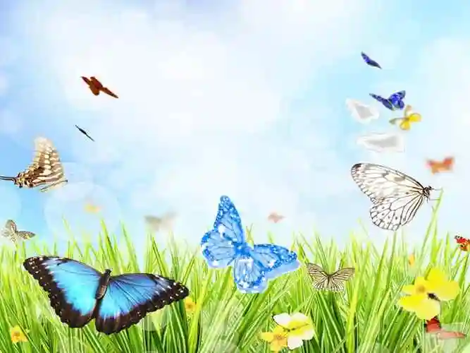 浙人美版美术二年级下册5折剪蝴蝶ppt课件2ppt