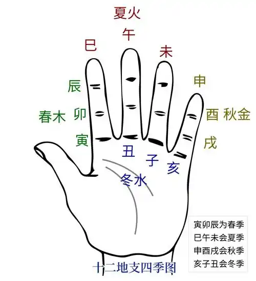 江阳君:快速记忆十二地支五行属性生肖的方法_因为_季节_农历