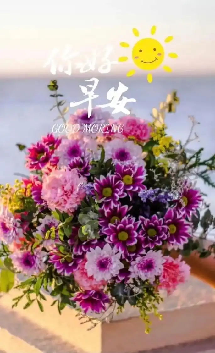 早安.生活需要方向,新的一天, 用最美的姿态 ,遇见最好的自 - 抖音