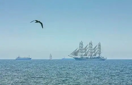 乘风飞翔飞翔的海鸥和高船照片