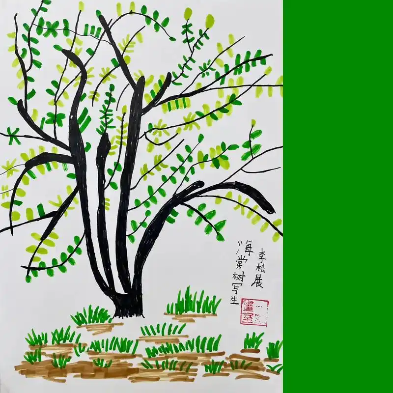 一年级写生 | 海棠树#自然美育 #写生 #画画 #户外写生 - 抖音