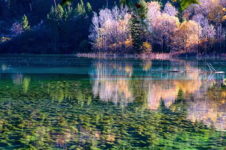 曾经的九寨沟五花海