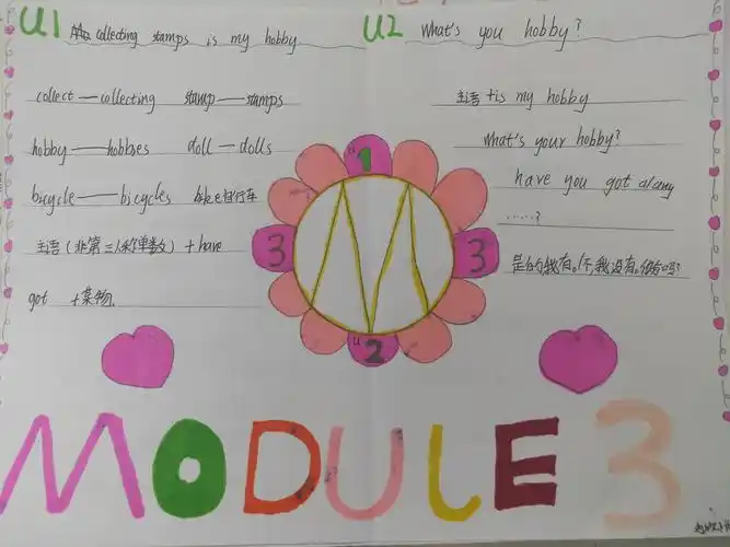 大徐小学六年级英语小报欣赏